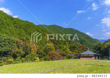 流谷観音堂（河内長野市流谷地区　蝋梅の里） 96594515