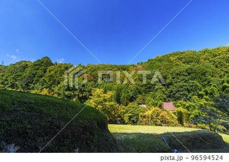 大阪府河内長野市天見　流谷地区　秋 96594524