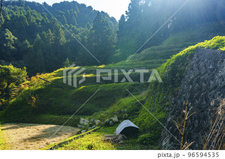 大阪府河内長野市天見　流谷地区　棚田のある里山風景 96594535