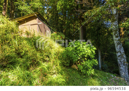 大阪府河内長野市天見　流谷地区　小屋と山道 96594538