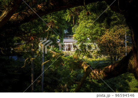 流谷八幡神社（大阪府河内長野市天見） 96594546