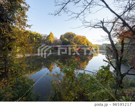 紅葉の美しいダム湖と吊り橋の風景 紅葉の美しいダム湖と吊り橋の風景 96595217