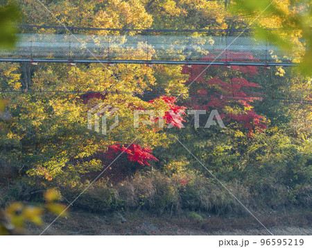 紅葉の美しいダム湖と吊り橋の風景 紅葉の美しいダム湖と吊り橋の風景 96595219