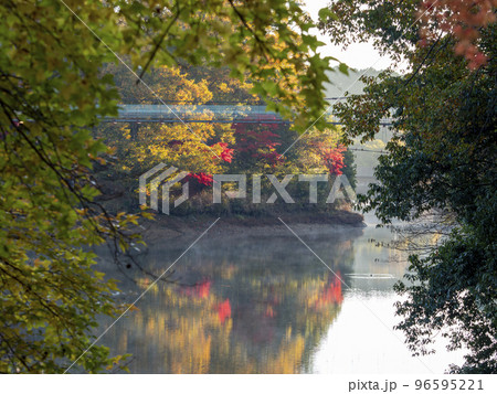 紅葉の美しいダム湖と吊り橋の風景 紅葉の美しいダム湖と吊り橋の風景 96595221