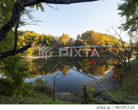 紅葉の美しいダム湖と吊り橋の風景 紅葉の美しいダム湖と吊り橋の風景 96595230