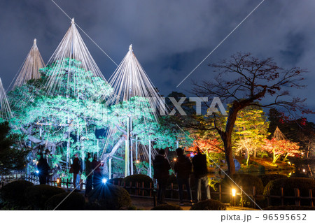 ライトアップされた冬の風物詩雪吊りと紅葉が夜空に輝く兼六園の夜景｜石川県金沢市 96595652