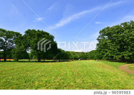 東京都渋谷区代々木公園の風景 96595983