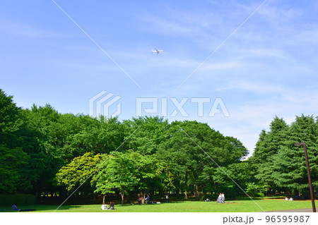 東京都渋谷区代々木公園の風景 96595987