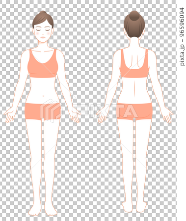 女性の全身図 正面と背面 オレンジ線画 イラスト 脱毛/エステ/ダイエット 女性の全身図 正面と背面 オレンジ線画 イラスト 脱毛/エステ/ダイエット 96596094