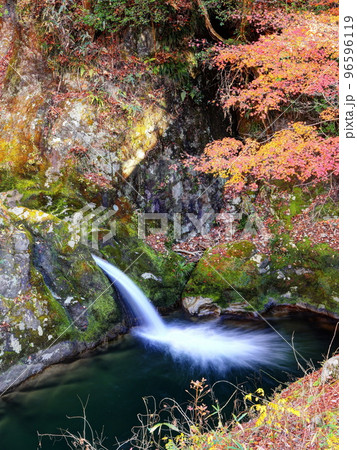 紅葉の花貫渓谷汐見滝 96596119
