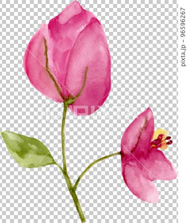 flower, pattern 96596267