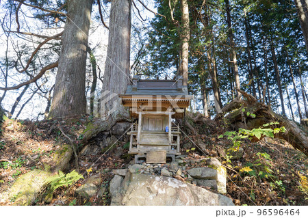 大根ノ山ノ神（奥多摩・本仁田山） 96596464