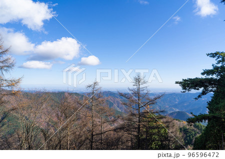 瘤高山の山頂から見た景色(奥多摩) 瘤高山の山頂から見た景色(奥多摩) 96596472