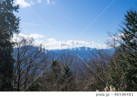 本仁田山の山頂から見た富士山（奥多摩） 96596481