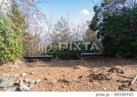 本仁田山の山頂(奥多摩) 本仁田山の山頂(奥多摩) 96596485