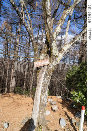 本仁田山の山頂（奥多摩） 96596489