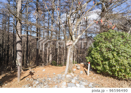 本仁田山の山頂(奥多摩) 本仁田山の山頂(奥多摩) 96596490