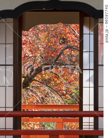 渡り廊下の窓越しに見える紅葉 渡り廊下の窓越しに見える紅葉 96597740