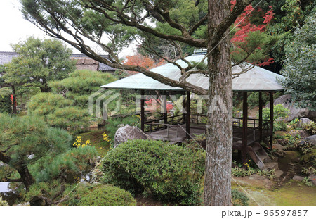 秋の旧広瀬邸。内庭の潺潺亭と紅葉。 96597857