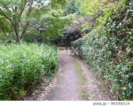 半田市　任防山公園 96598514