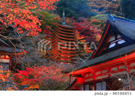 【奈良県】談山神社の紅葉ライトアップ（十三重塔と神廟拝所） 96598855