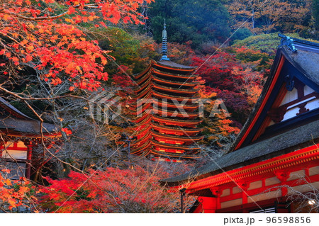 【奈良県】談山神社の紅葉ライトアップ（十三重塔と神廟拝所） 96598856