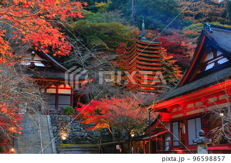 【奈良県】談山神社の紅葉ライトアップ（十三重塔と神廟拝所） 96598857