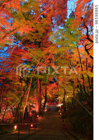 【奈良県】談山神社の紅葉ライトアップ 96598865