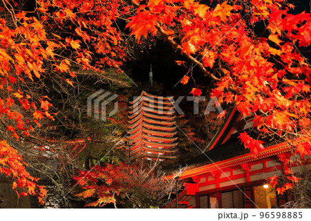 【奈良県】談山神社の紅葉ライトアップ（十三重塔） 96598885