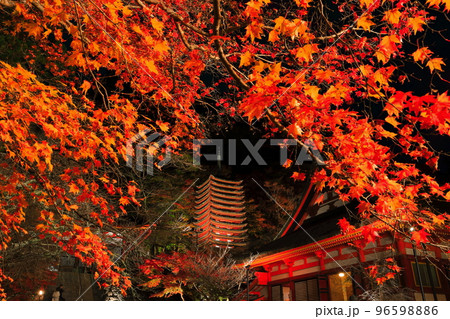 【奈良県】談山神社の紅葉ライトアップ（十三重塔） 96598886
