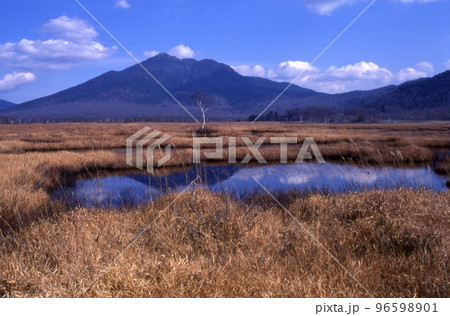 秋の尾瀬と燧ケ岳 秋の尾瀬と燧ケ岳 96598901