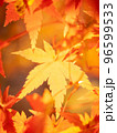 秋のイメージ 96599533