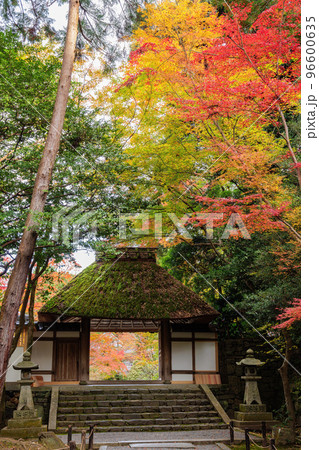秋の法然院 秋の法然院 96600635