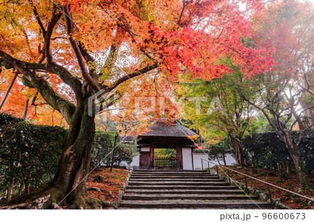 秋の安楽寺 秋の安楽寺 96600673