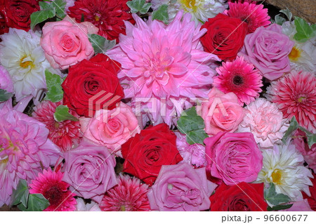 鮮やかな花手水 鮮やかな花手水 96600677