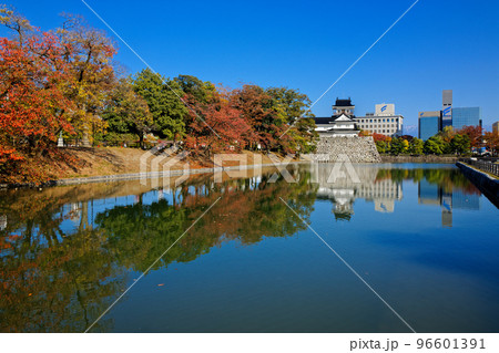 富山城と濠に映える景観　富山城址公園の紅葉 96601391