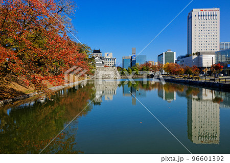 富山城と濠に映える景観 富山城址公園の紅葉 富山城と濠に映える景観 富山城址公園の紅葉 96601392