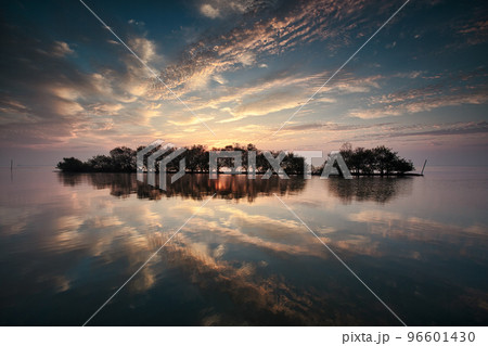 霞ヶ浦の夜明け 96601430