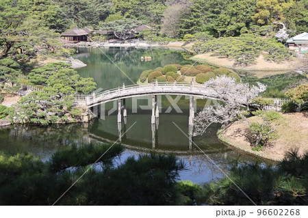 飛来峰から見た桜咲く南湖 栗林公園 飛来峰から見た桜咲く南湖 栗林公園 96602268