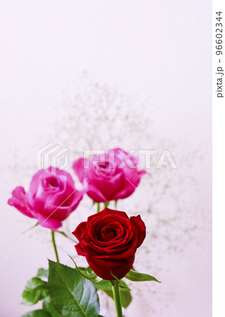バレンタインに贈るピンクと赤いバラの花束 96602344