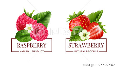 Berry Labels Realistic Set 96602467
