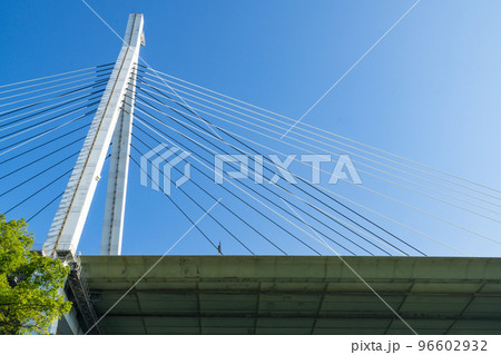 大阪市港区の安治川にかかる天保山大橋 96602932
