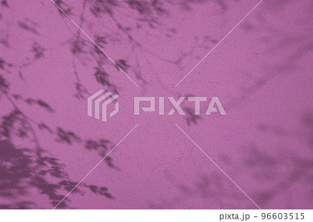 Shadow of leaves on purple concrete wall texture background 96603515