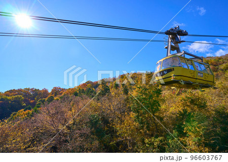 秋の埼玉県長瀞町の宝登山ロープウェイ 96603767