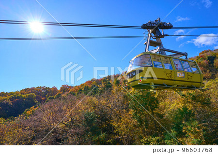 秋の埼玉県長瀞町の宝登山ロープウェイ 96603768