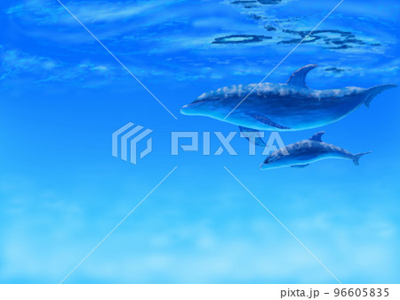 イルカの親子のイラスト　綺麗な水中　青い世界　発色の良いバージョン 96605835