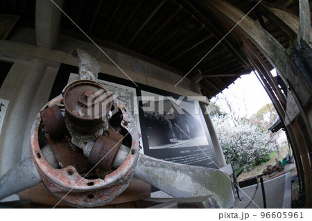 大分市　大分護国神社　夕暮れ 96605961