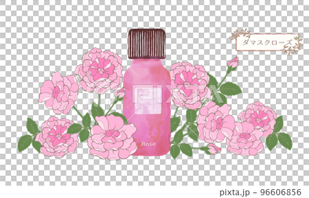 Damask rose, rose scent, rose illustration material, essential oil & aroma Damask rose, rose scent, rose illustration material, essential oil & aroma 96606856