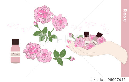 手のひらにローズ・ダマスクローズ・バラの香り・ローズのイラスト素材・精油＆アロマ 96607032