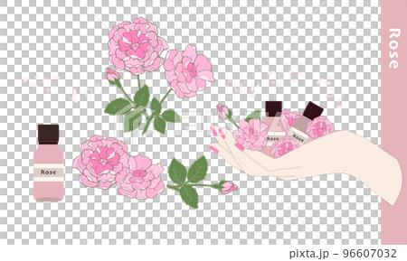 Rose, damask rose, rose scent, rose illustration material, essential oil & aroma in the palm of your hand 96607032